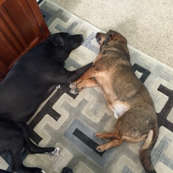 Meet your Posher, Christina - Picture 3 of 3